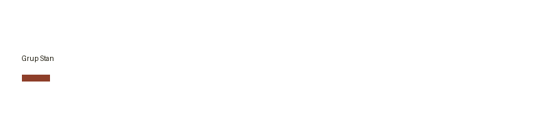 Grup Stan logo